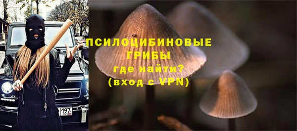 гашик Костерёво