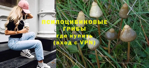 прущая мука Корсаков