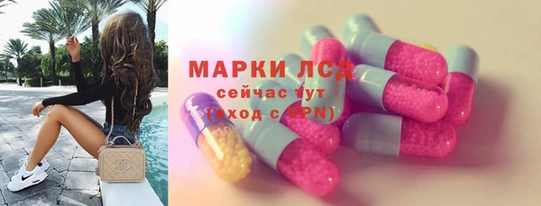 гашик Костерёво