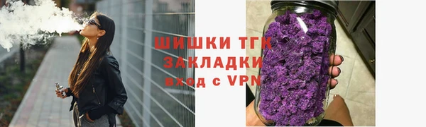 гидра Коряжма