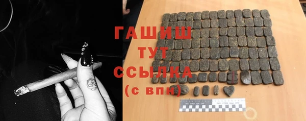 гашик Костерёво