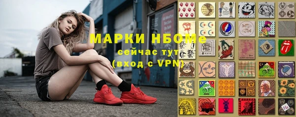 гидра Коряжма