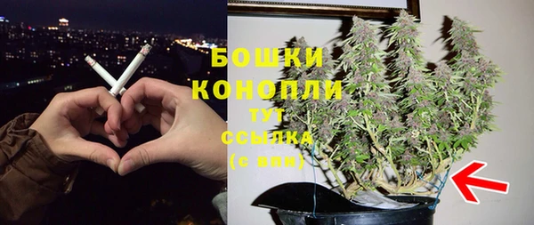 гашик Костерёво