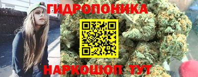 мяу мяу мука Жуковский