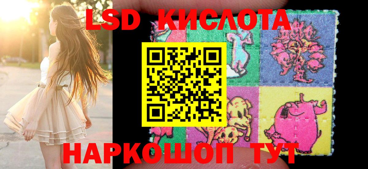 Наркотические марки 1500мкг  Вход с VPN  Хасавюрт  Наркотические марки 1500мкг 