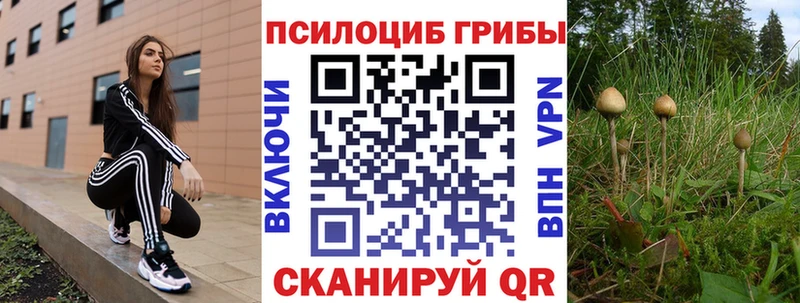 Псилоцибиновые грибы ЛСД  где найти наркотики  Хасавюрт 