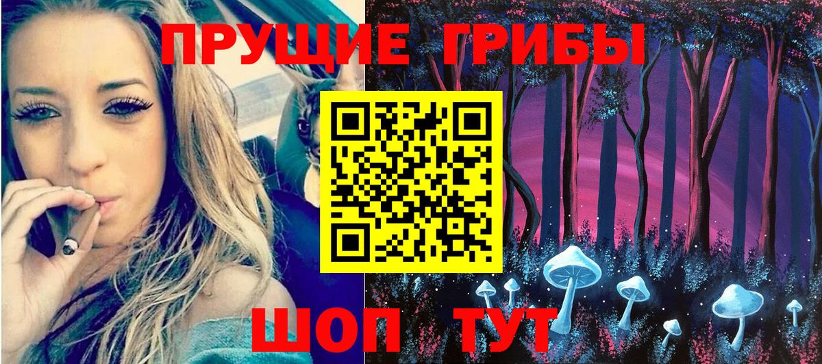 Псилоцибиновые грибы Psilocybine cubensis Хасавюрт