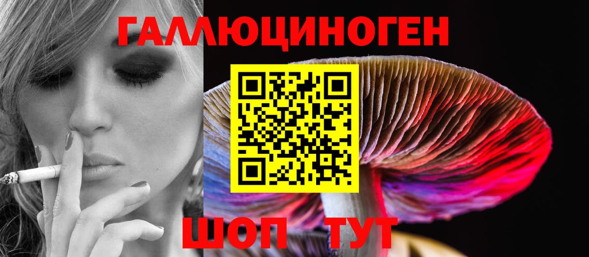 Хасавюрт  Галлюциногенные грибы Psilocybe  Галлюциногенные грибы Psilocybine cubensis  Вход с VPN 