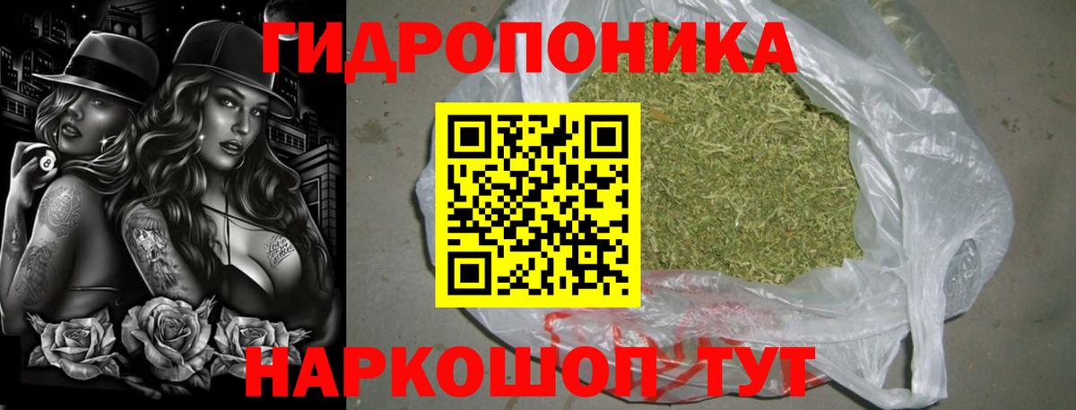 Бошки Шишки план  Вход с VPN  Конопля MAZAR  Хасавюрт  Канабис AK-47 